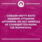 {$title}