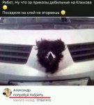 {$title}
