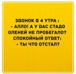 {$title}