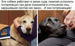 {$title}