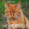 РАН