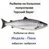 Терфиш