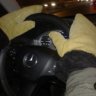 JOB