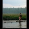 Димон Долгопа